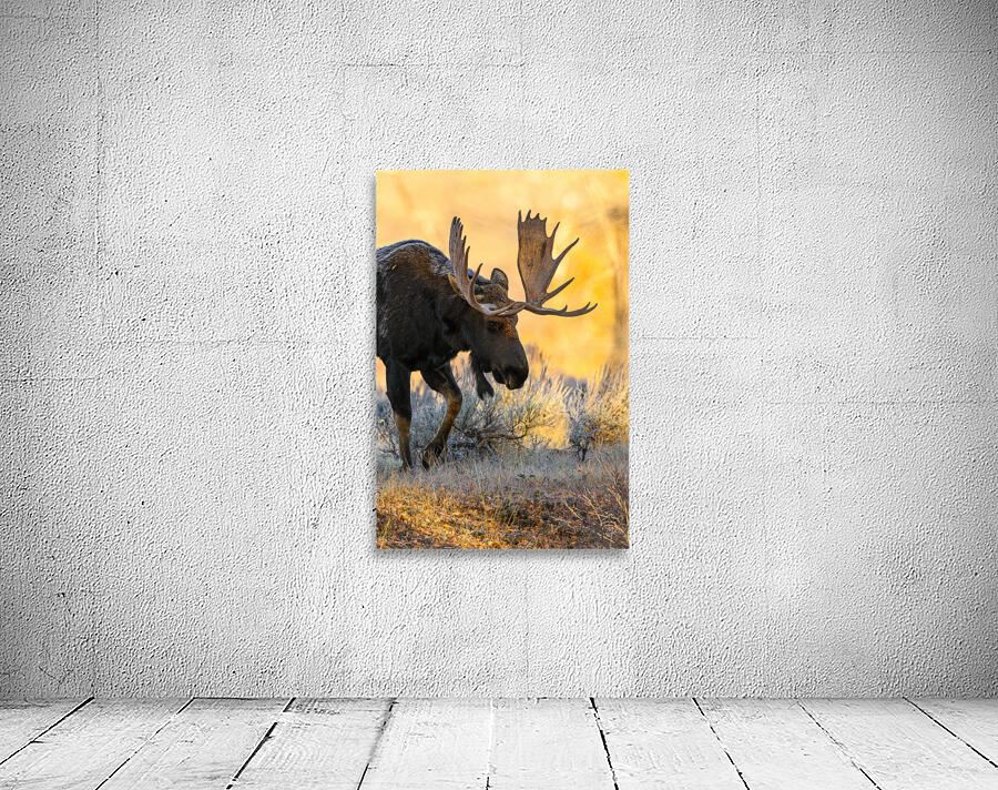 ESKER Wall Preview