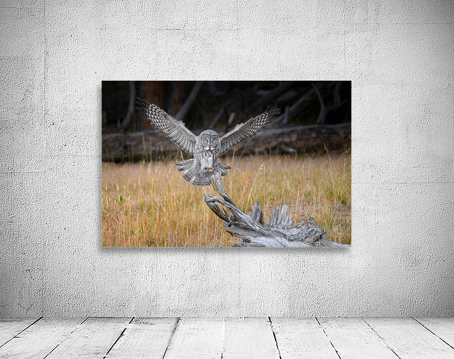 MERLINS LANDING Wall Preview