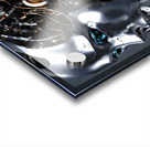 Future Robot Acrylic print