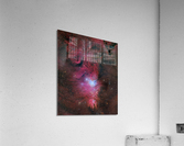 Cone Nebula Acrylic Print