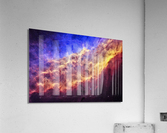 California Nebula Acrylic Print