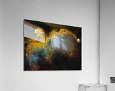 Seagull Nebula Acrylic Print