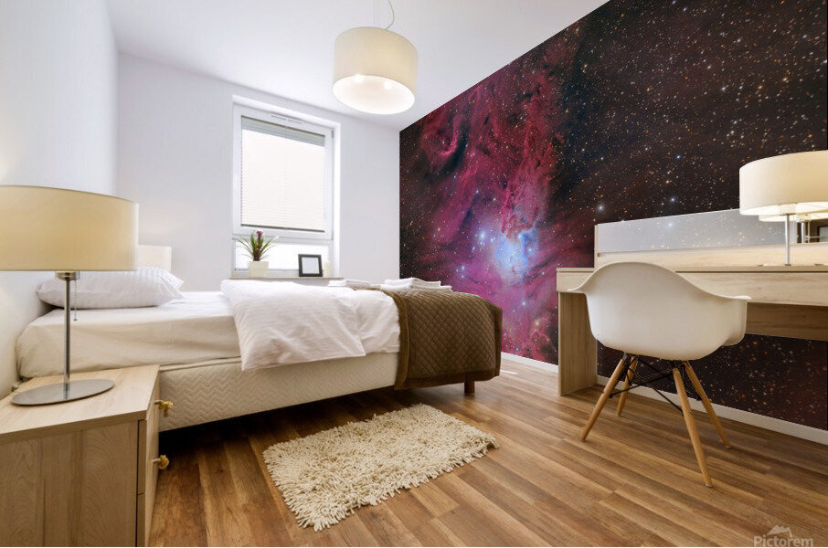 Cone Nebula Mural print
