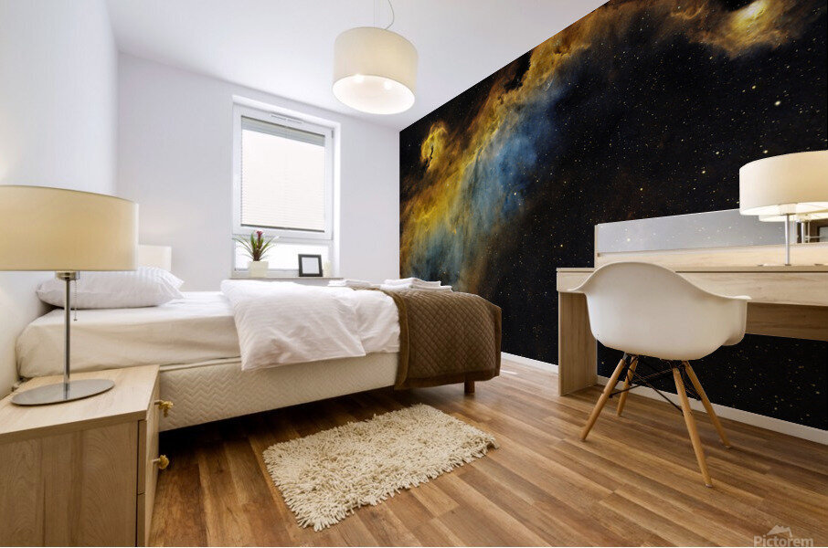 Seagull Nebula Mural print