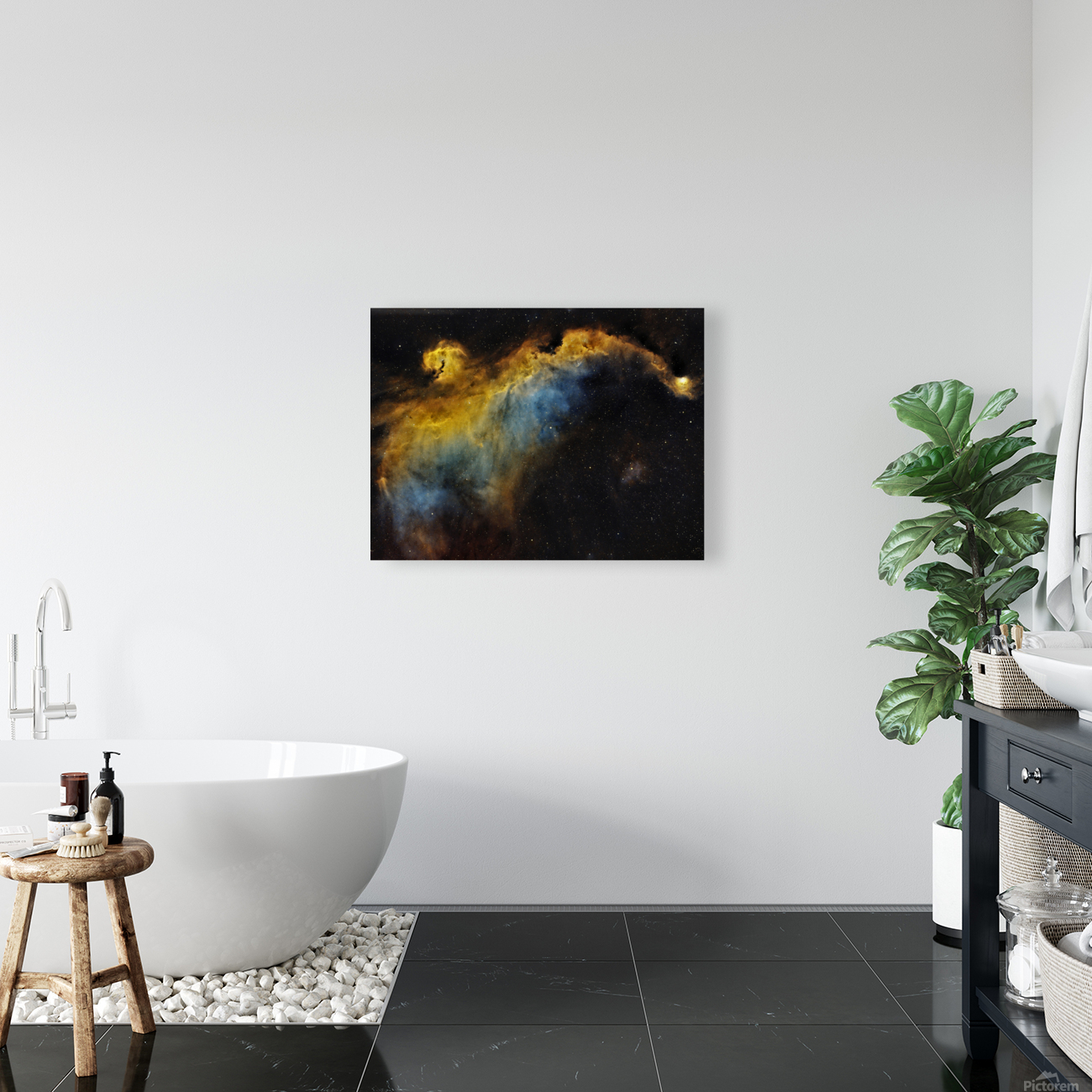 Seagull Nebula Reproduction