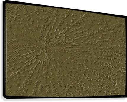 I Think You Know Canvas Print