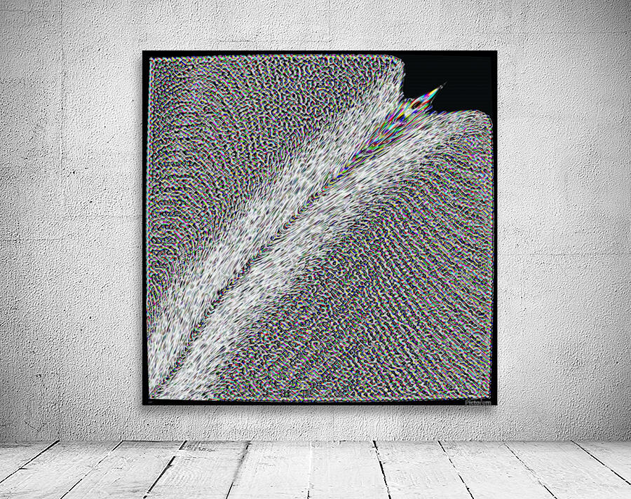 ZIP Wall Preview