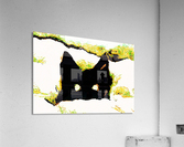 Kitten in snow Acrylic Print