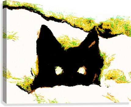 Kitten in snow Canvas Print