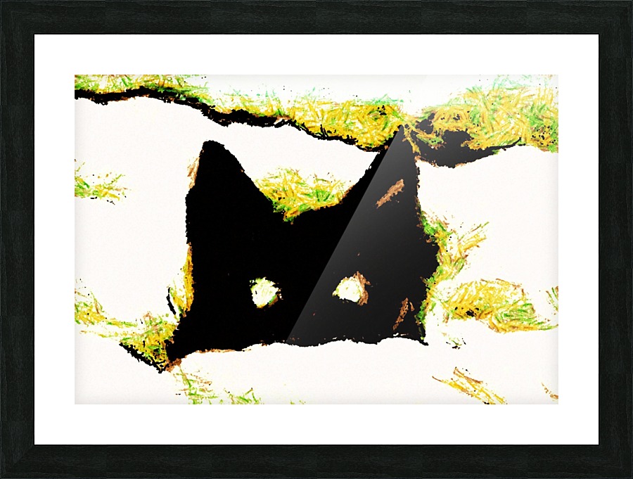  Fine Art print
