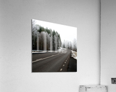 on my way Acrylic Print