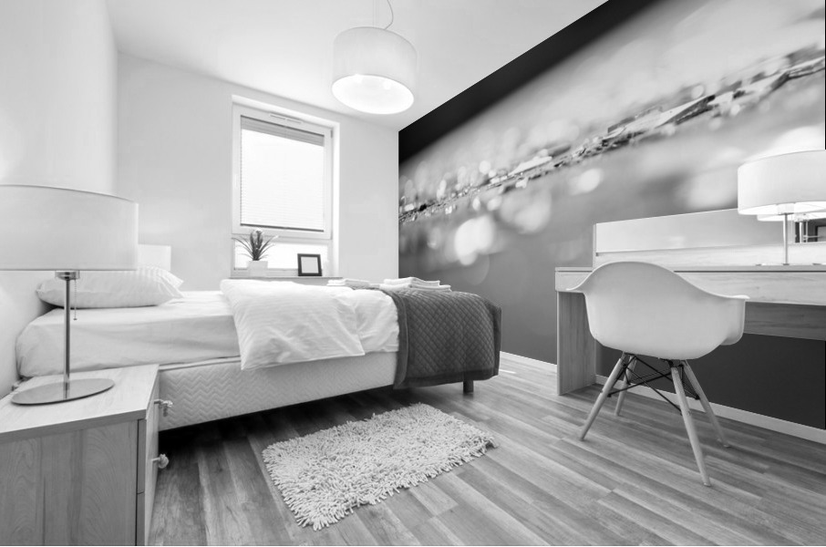 Glass Mural print