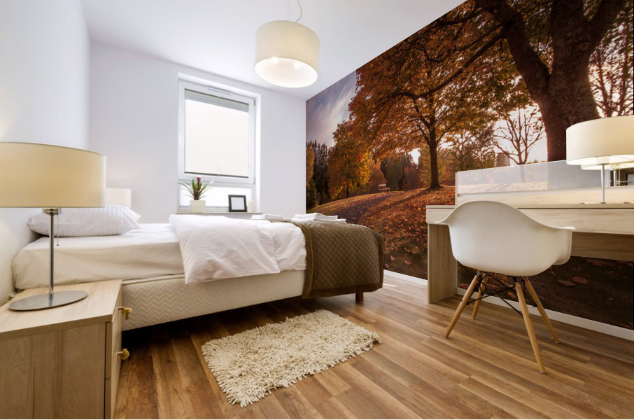 Bench Mural print