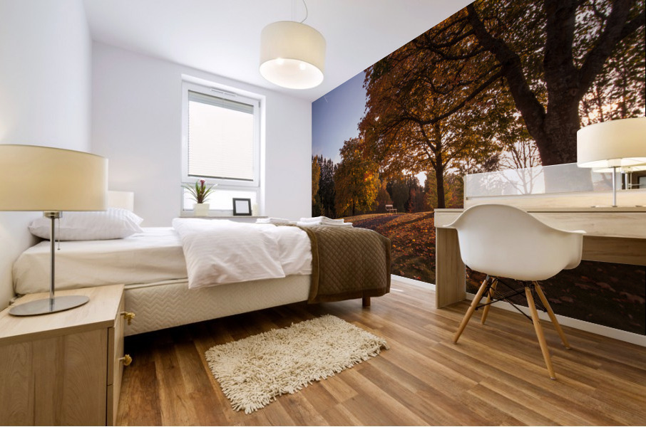 Bench igen Mural print