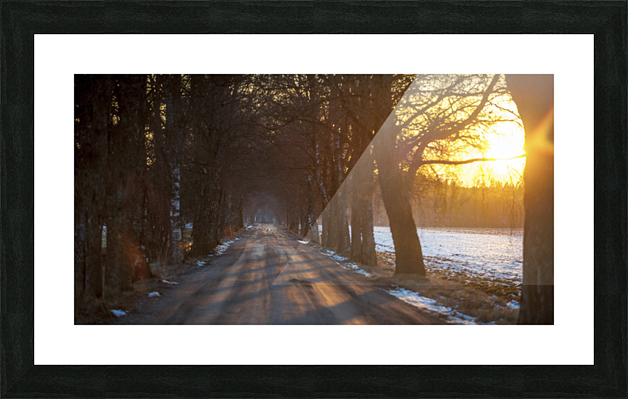 Bye bye winter Picture Frame print