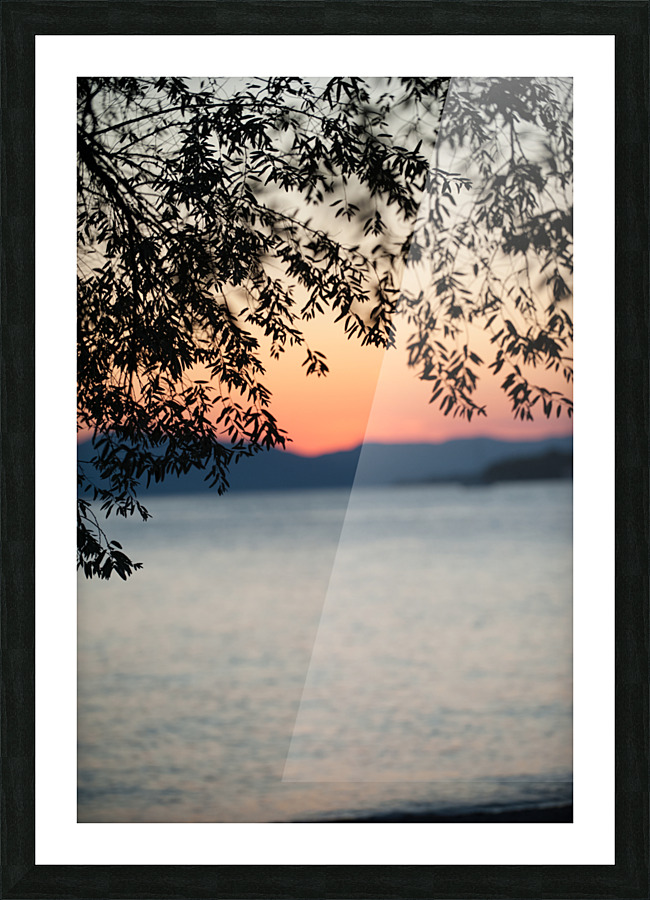 tree siluet Picture Frame print