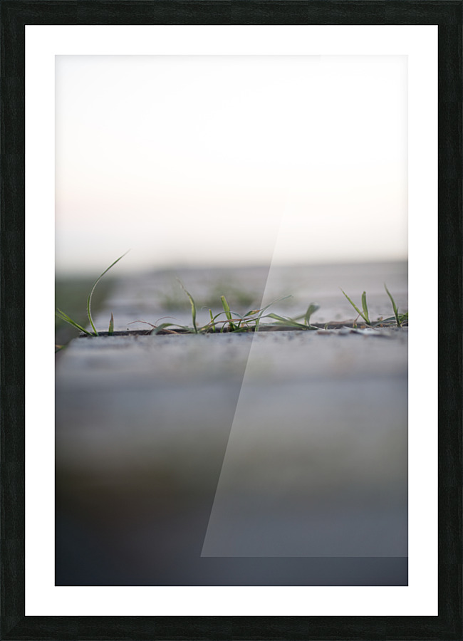 green Picture Frame print