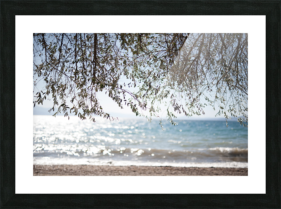 hung in there Picture Frame print