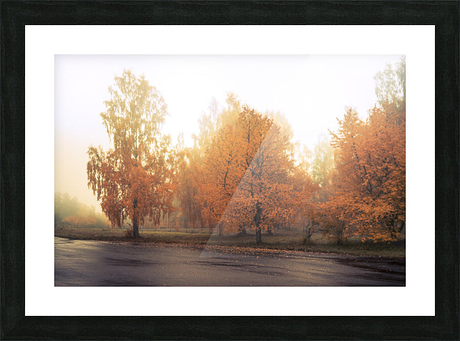 Habo Picture Frame print