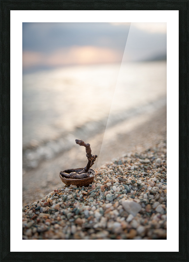 This boat is nuts Picture Frame print