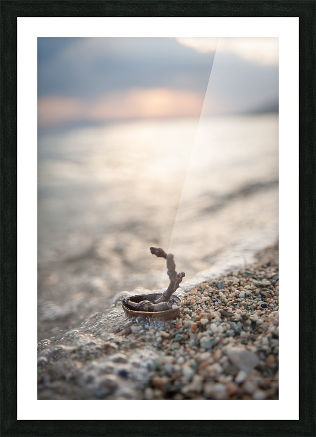 this boat is still nuts Picture Frame print