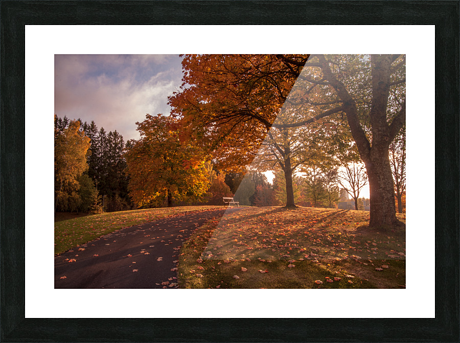 Bench Picture Frame print