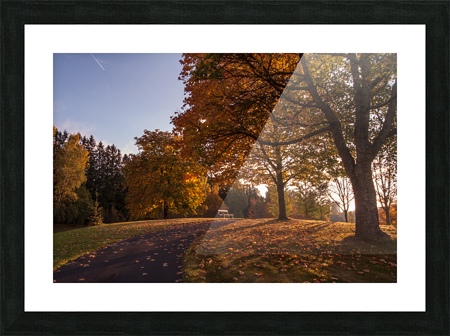 Bench igen Picture Frame print