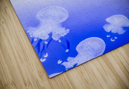Jellyfish Monophoto puzzle