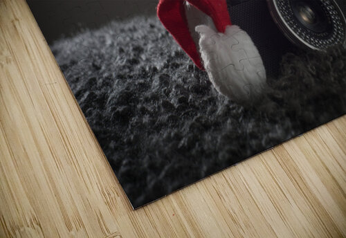 Xmass Monophoto puzzle