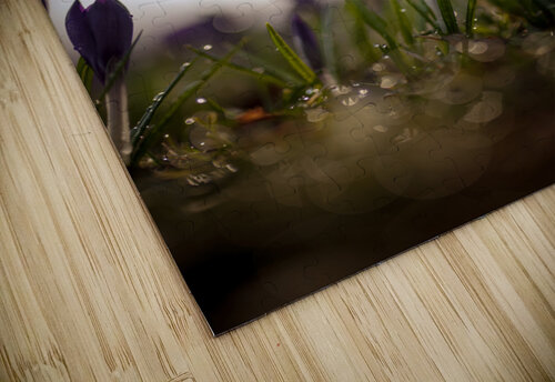 Spring Monophoto puzzle
