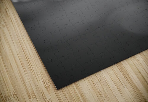 Glass Monophoto puzzle