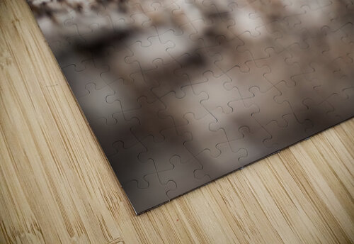 beach closeup Monophoto puzzle