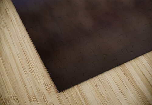 Nies Monophoto puzzle