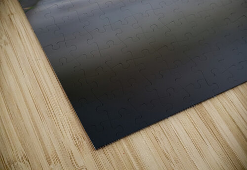 green Monophoto puzzle