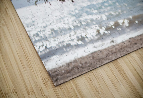 hung in there Monophoto puzzle