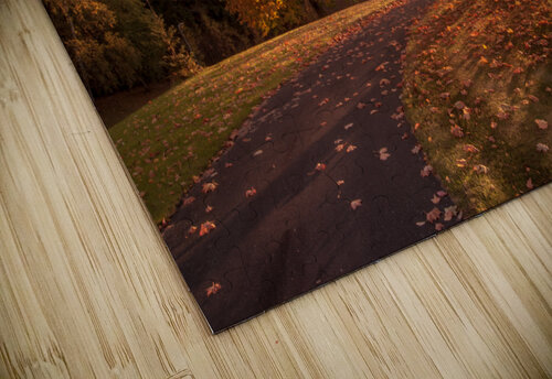 Bench Monophoto puzzle