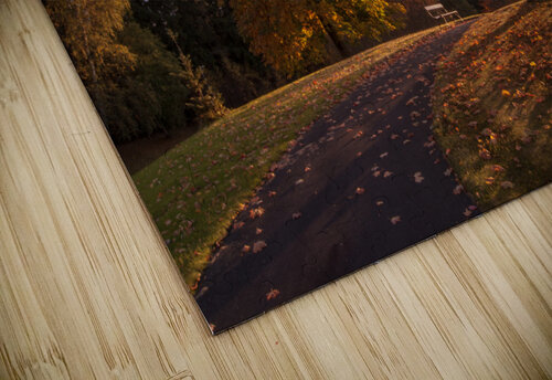 Bench igen Monophoto puzzle
