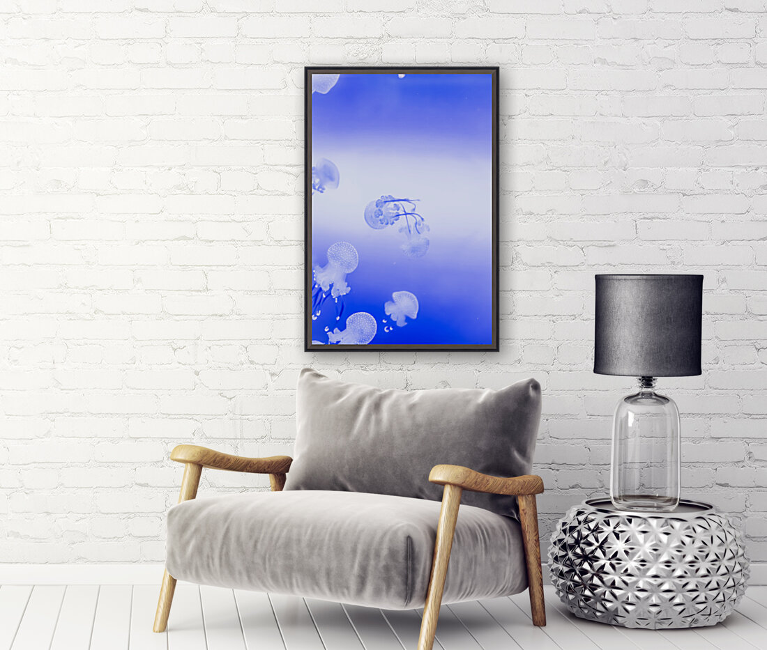 Jellyfish Reproduction