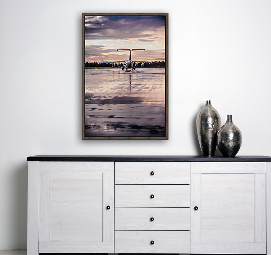 sunset plane Reproduction