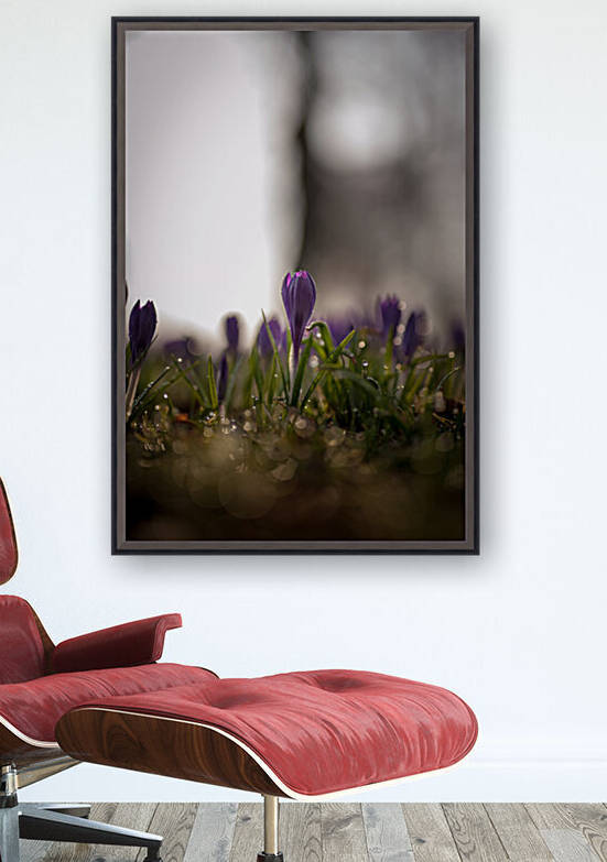 Spring Reproduction