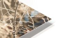 Winter HD Metal print