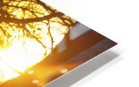 Bye bye winter HD Metal print