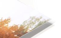 Habo HD Metal print