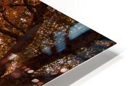 Bench HD Metal print