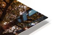Bench igen HD Metal print