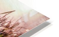 Boat uppochner HD Metal print