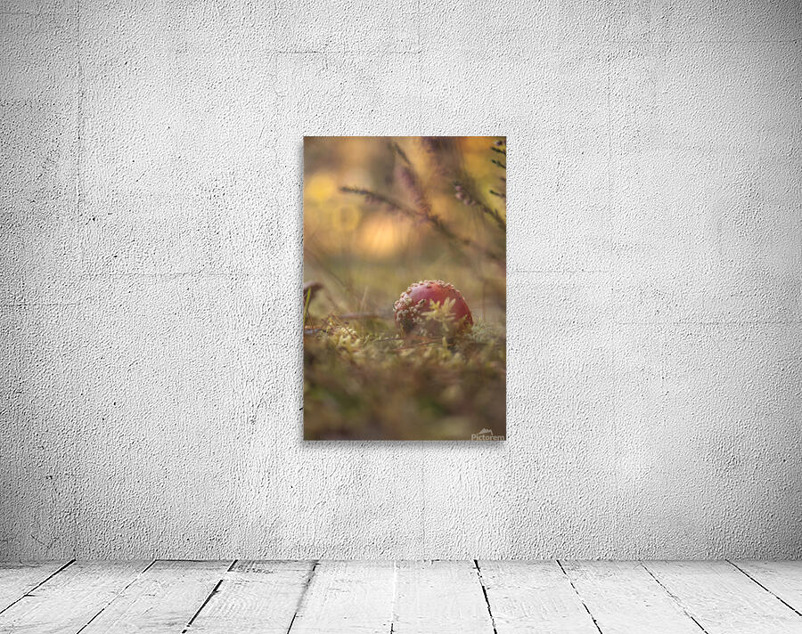 Fall Wall Preview