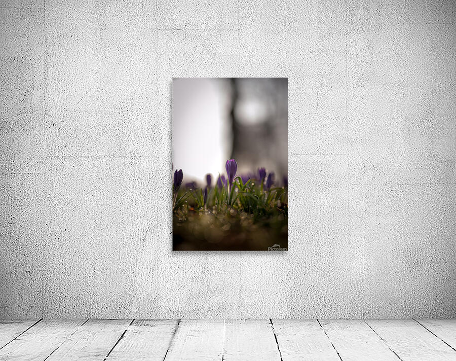 Spring Wall Preview