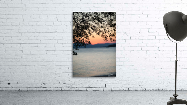 tree siluet Wall Preview