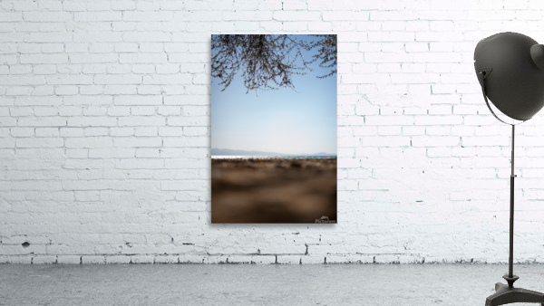 warm seaside colours Wall Preview